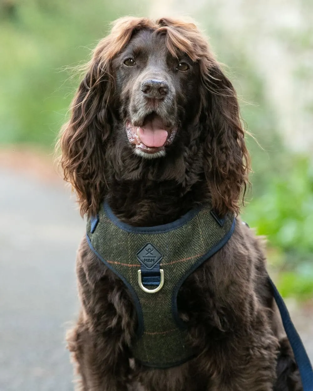 Dark Green Checked Herringbone Tweed Dog Harness