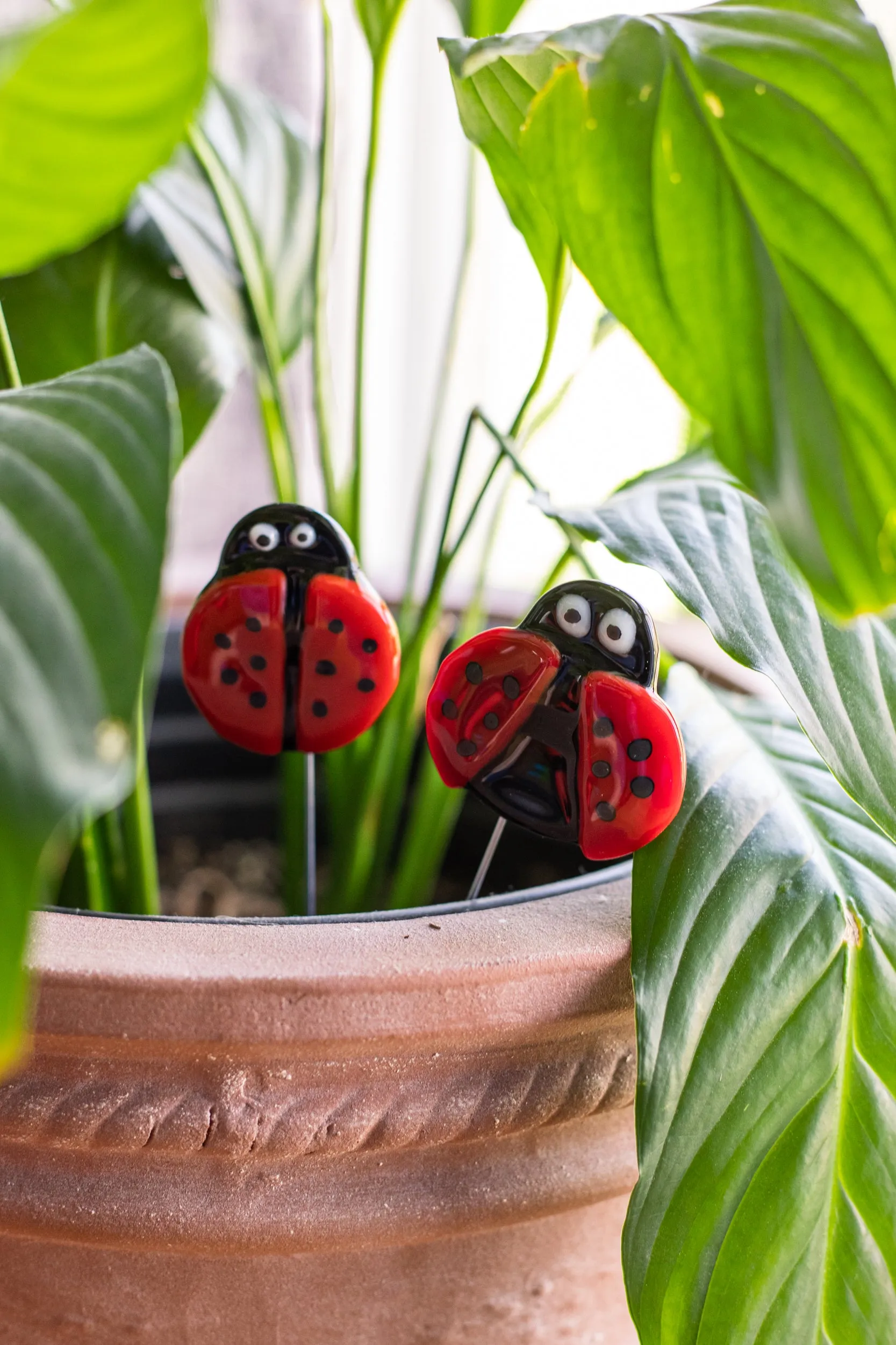 Ladybug Plant Stake- Set of 2