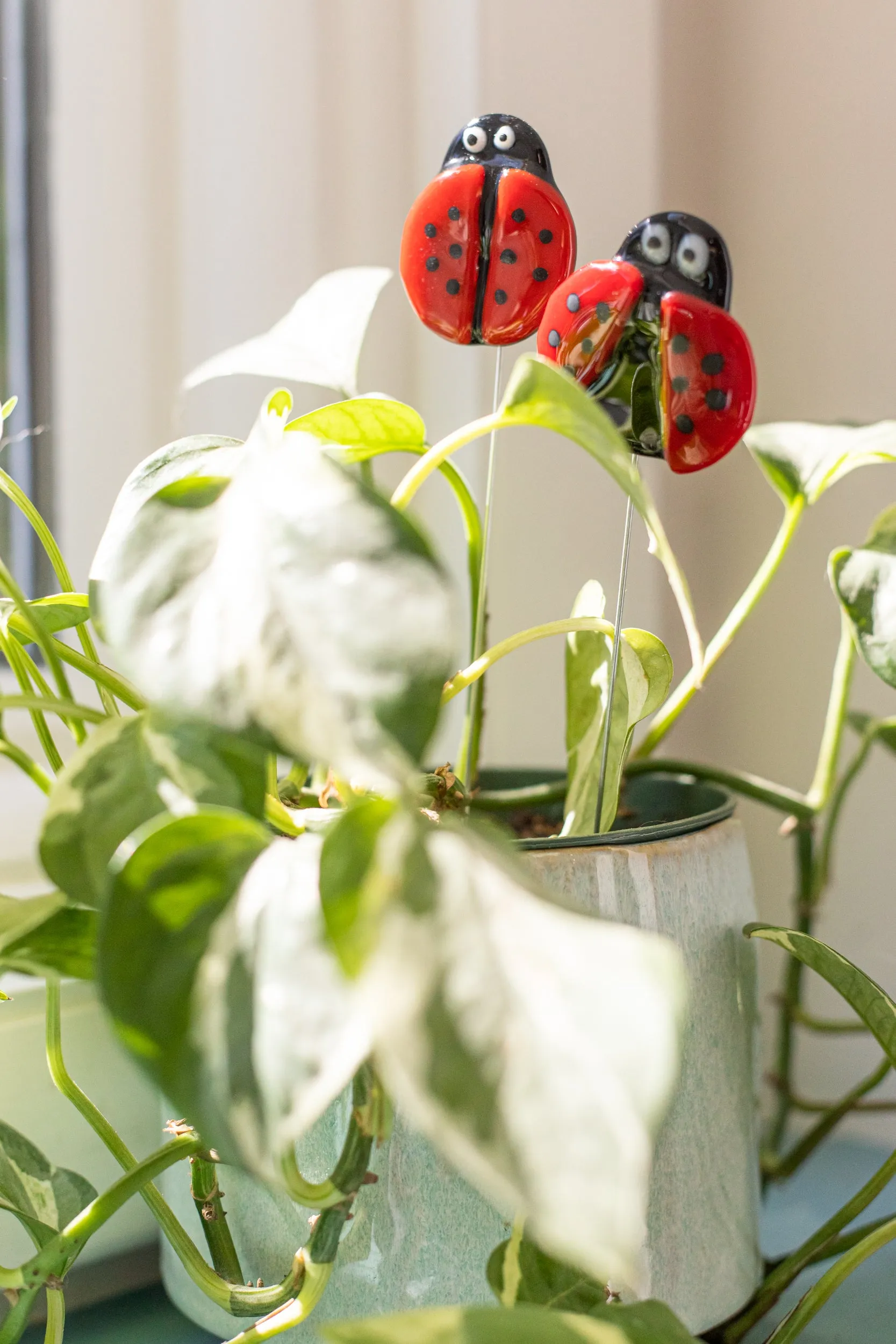 Ladybug Plant Stake- Set of 2