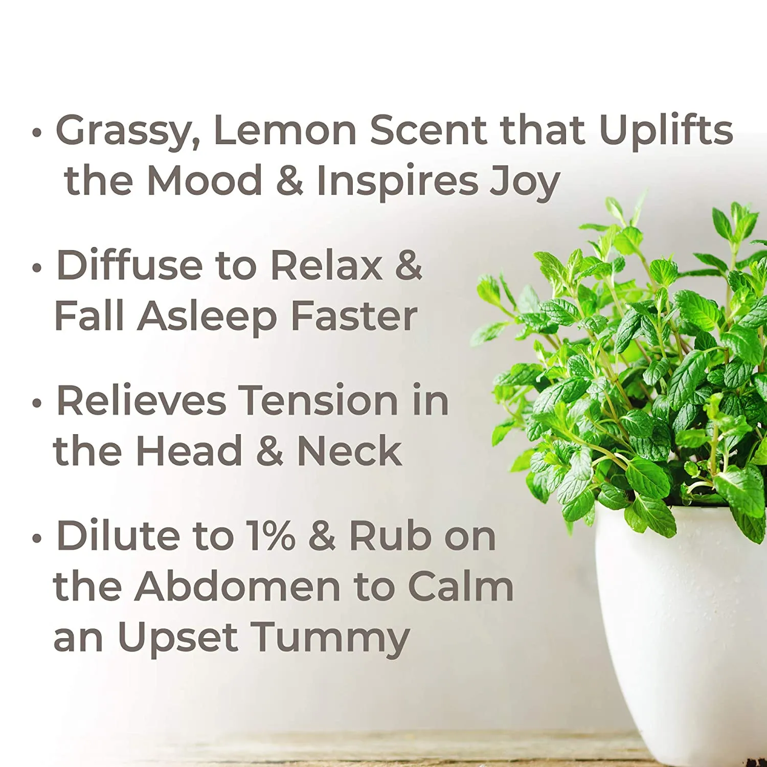 Plant Therapy Melissa Essential Oil