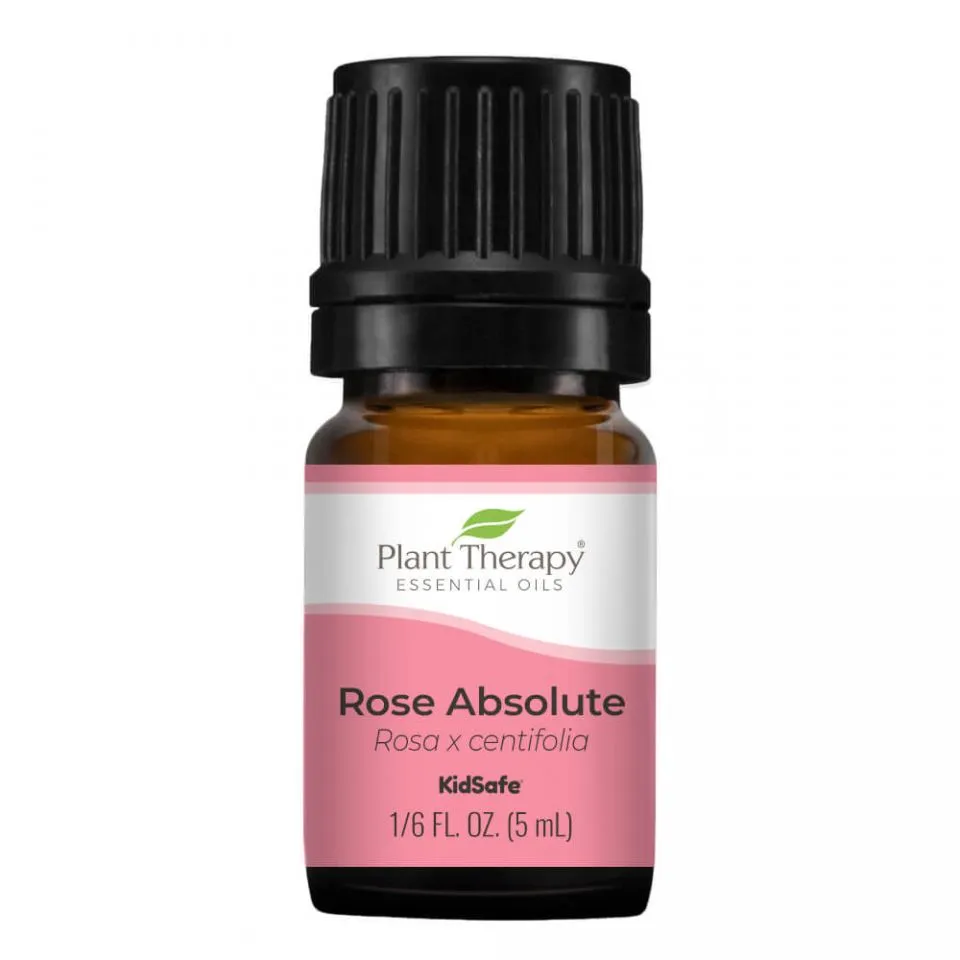 Plant Therapy Rose Absolute