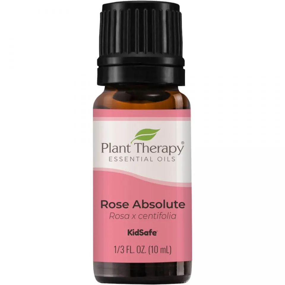 Plant Therapy Rose Absolute