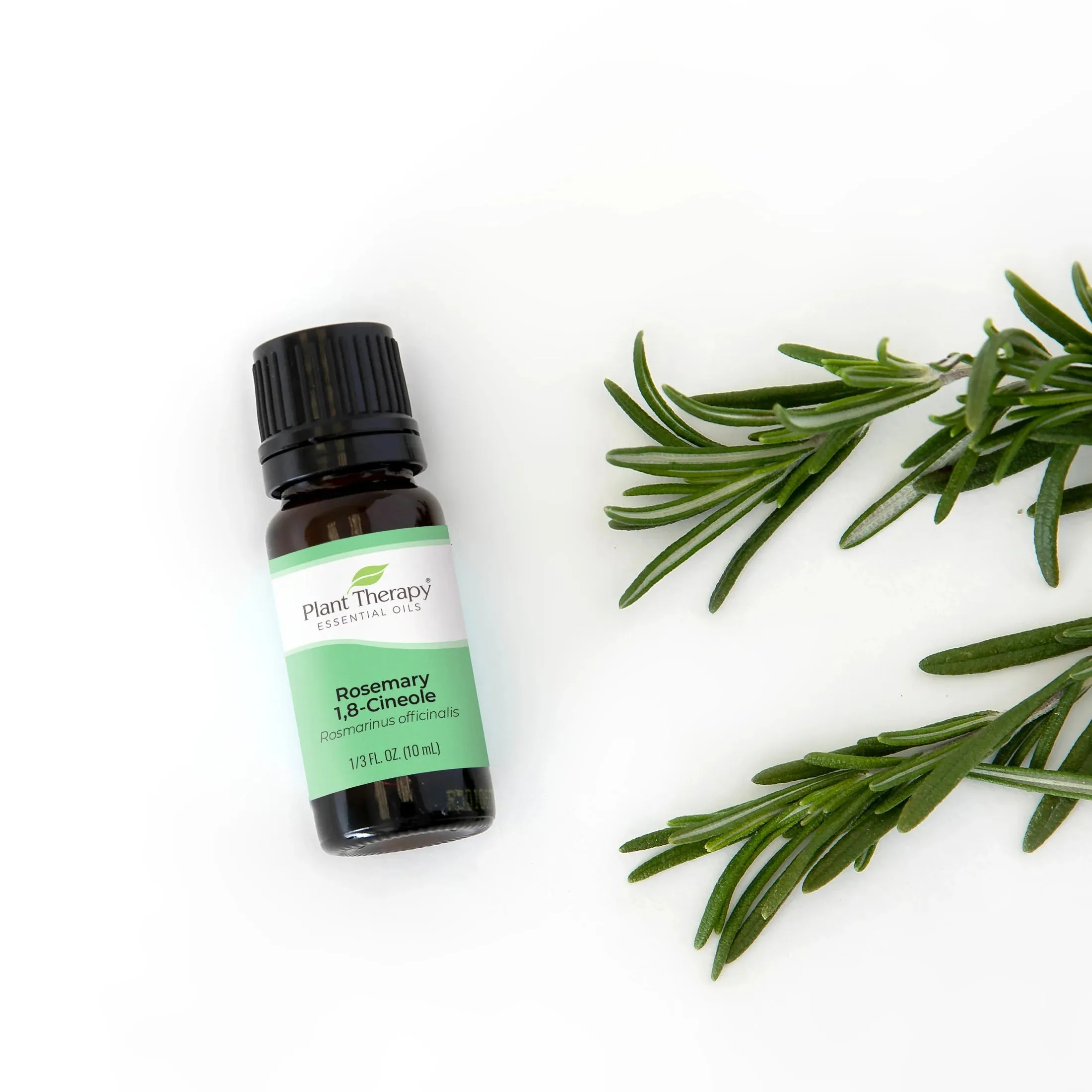 Plant Therapy Rosemary 1,8-Cineole Essential Oil