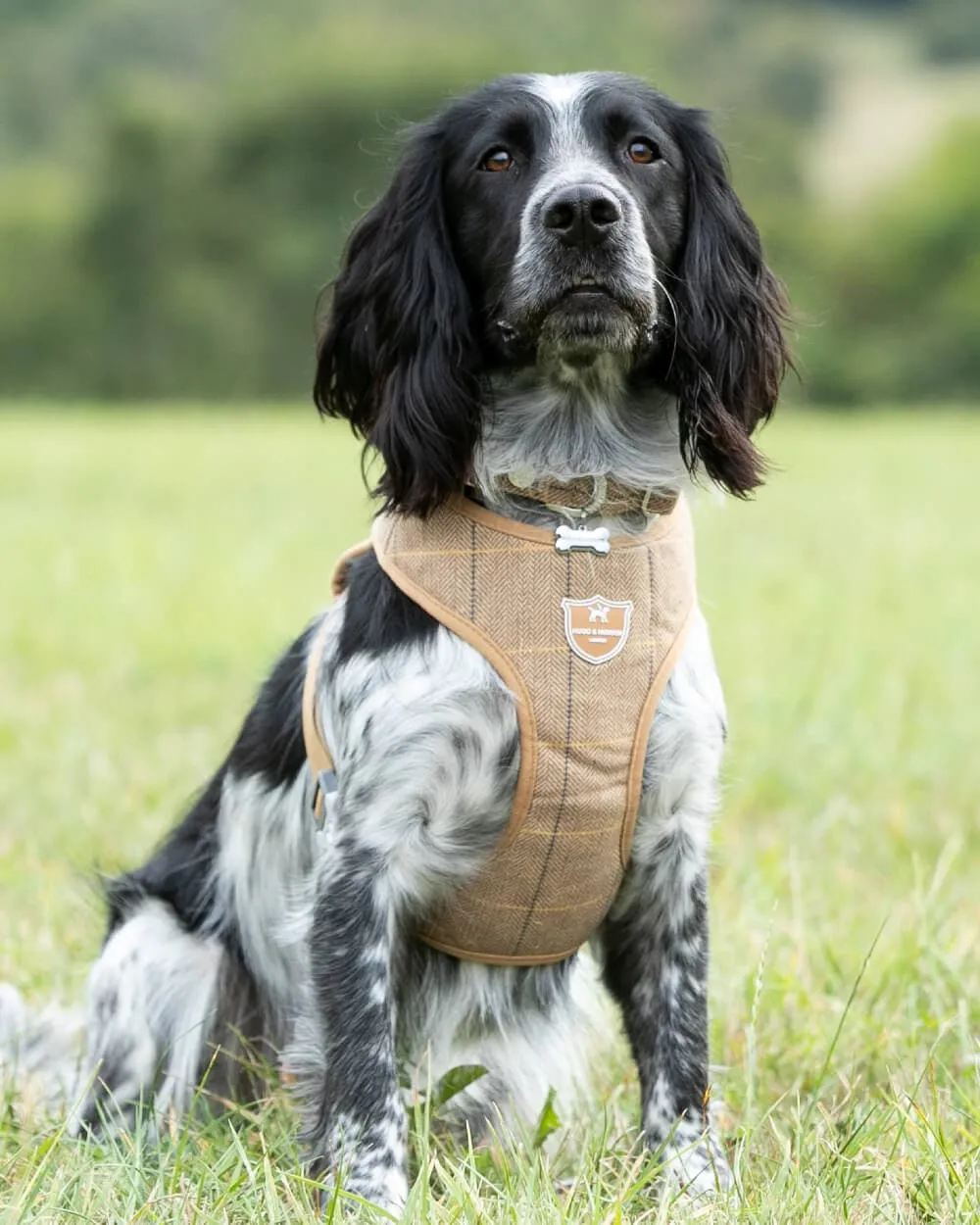 Tweed Dog Harness - Caramel Checkered Herringbone