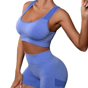 Women's Tracksuit Activewear Set Workout Sets 2 Piece Seamless Solid Color Shorts Sports Bra Pink Blue Spandex Yoga Fitness 